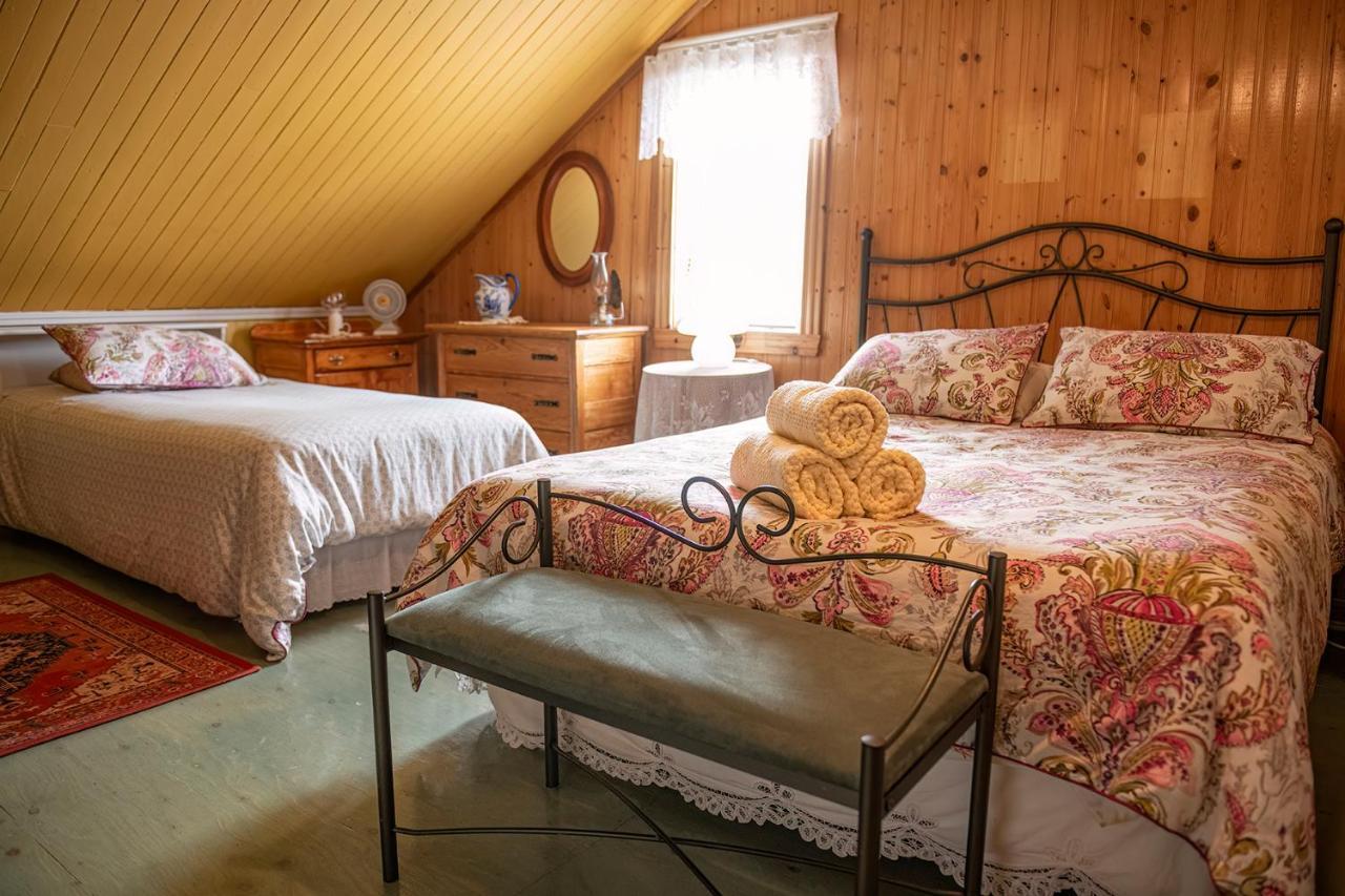 Bed and Breakfast Bed & Cafe Petit Papillon Grandes-Bergeronnes Exteriér fotografie